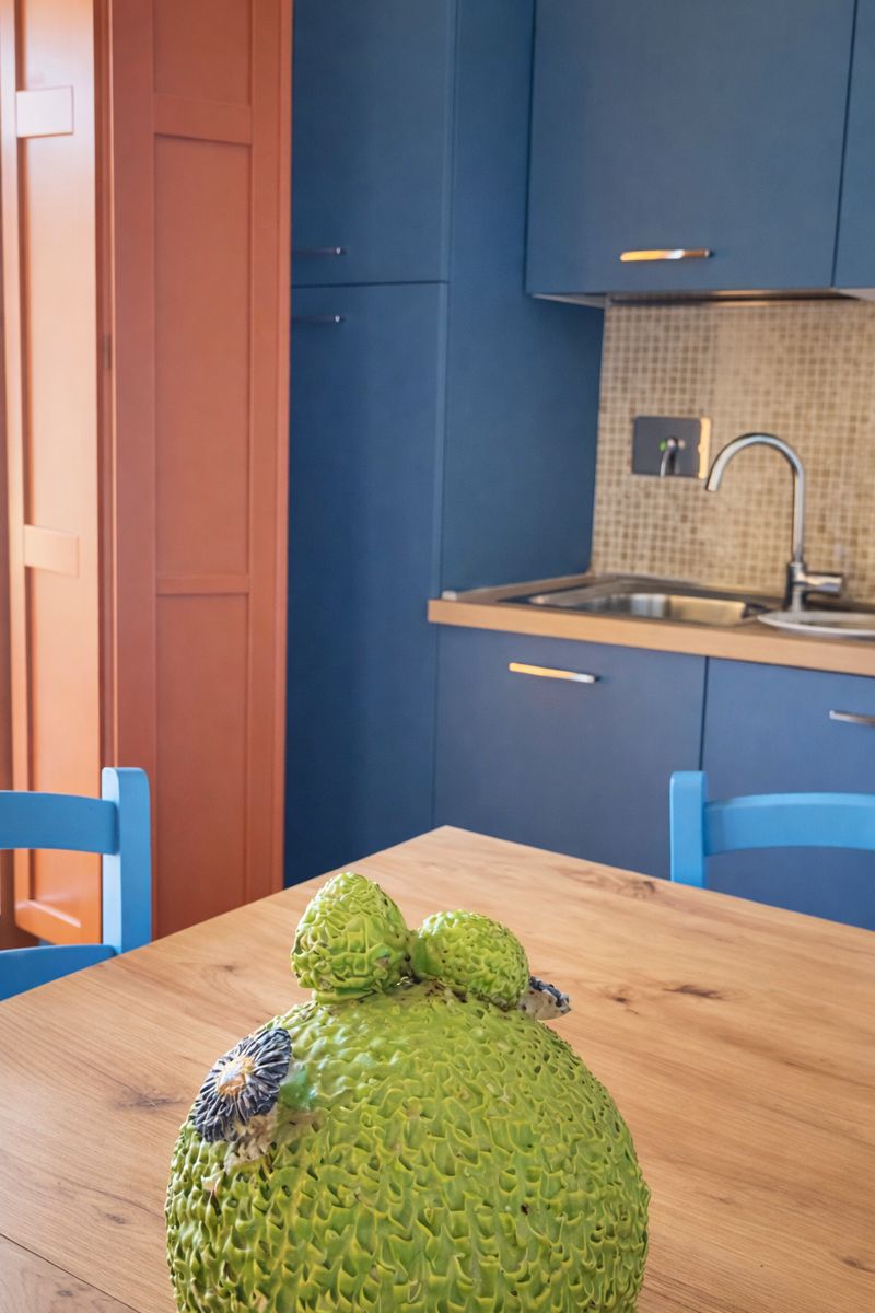 Cucina moderna completamente attrezzata